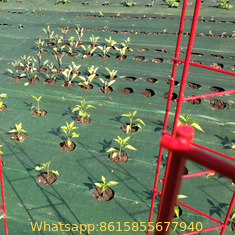 Biodegradable weed mat ,anti grass pp plastic plant ground cover