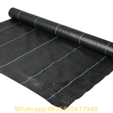 garden ground cover fabric/weed barrier mat/plastic pp anti weed agro weed control mat
