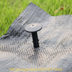 Anti Weed Mat Plastic Mulch Film Agricultural Black Plastic Ground Cover Weed Mat