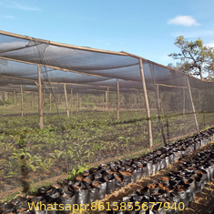 Agro/Agricultural/Greenhouse/Horticulture/Vegetable/Garden/Raschel/Shading/Anti Hail/Olive/Safety/Waterproof/Privacy
