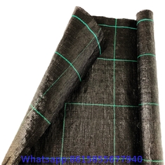 PP plastic black anti weed mat/anti grass woven fabric mat/Black color ground