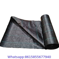 PP plastic black anti weed mat/anti grass woven fabric mat/Black color ground