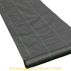 Blueberry nursery Apple orchard ground cover GRS approve white black reflective matting PP woven fabric anti weed contro