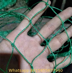 High Strength Serviceable Monofilament Nylon Blue Cheap Prices Hot Sale Fishing Net