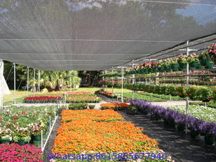 Sun Shade Net Multipurpose Green House Netting