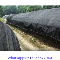 Plastic Anti UV Sun Shade Netting 30gsm - 300gsm For Horticulture