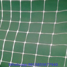 customizable various agricultural anti bird netting