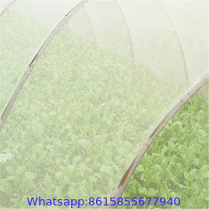 White Nylon Net Fruit Tree Cover Diamond Mesh Anti UV Anti Insect Bird