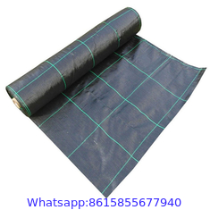 Horticulture Landscaping fabric/Weed barrier fabric/Plastic Ground Cover Net