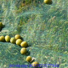 HDPE Agriculture Olive Net harvest net with high quality