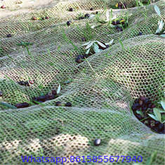 Agriculture design cheap price olive tree harvest net