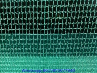 HDPE fruit harvest net,fruit collection net,olive netting