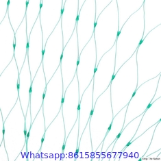 High Strength HDPE Anti Bird Screen Mesh Net