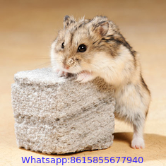 Small Pet Dental Treats:Chew Blox pumice stone for chew toy