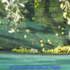 Olive Nets, Olive Harvest Nets for Sale