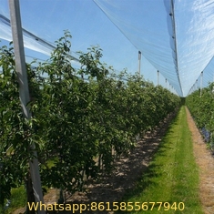 #2021 Factory supply anti-hail net / Hail Protection Net / apple tree Anti Hail net