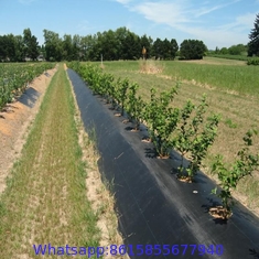 ! Heavy Duty Weed Barrier Landscape Fabric