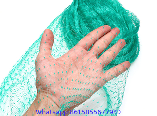 Anti-bird Netting in Agriculture Using