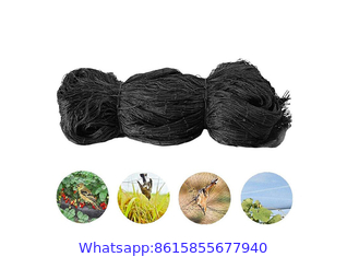 Black Anti-bird Net for Plants