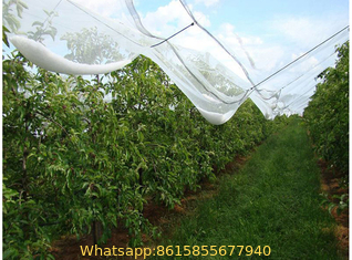 Vegetable Garden Hail Protect Netting