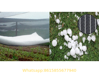 Hail Netting Protecting Your Crops, Fruit Trees and Gardens