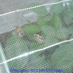 anti insect repel protection net HDPE 40 50 mesh 45g 60g 70g agricultural insect net