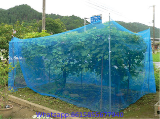 anti insect repel protection net HDPE 40 50 mesh 45g 60g 70g agricultural insect net