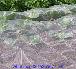 anti insect repel protection net HDPE 40 50 mesh 45g 60g 70g agricultural insect net