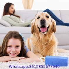 PORTABLE LINT REMOVER PET HAIR REMOVER BRUSH
