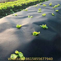 Premium 5oz Pro Weed Barrier Landscape Fabric Ground Cover Heavy Duty Commercial Anti-Weed Gardening Mat, 4ft x 250ft :