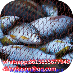 Nylon/Polyester Multifilament Fishing Net Mesh Factory