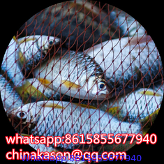 Nylon/Polyester Multifilament Fishing Net Mesh Factory