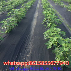 Garden Weed Barrier Landscape Fabric supplier in China