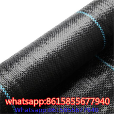 PP Weed Mat/Anti Weed Mat/Weed Barrier Fabric