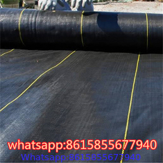 PP Weed Mat/Anti Weed Mat/Weed Barrier Fabric