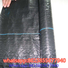 PP Weed Mat/Anti Weed Mat/Weed Barrier Fabric