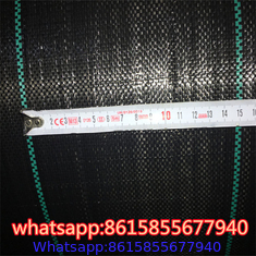 PP Weed Mat/Anti Weed Mat/Weed Barrier Fabric