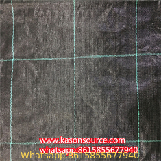 Manufacture direct PP and scape fabric anti grass cloth for agriculture protection
