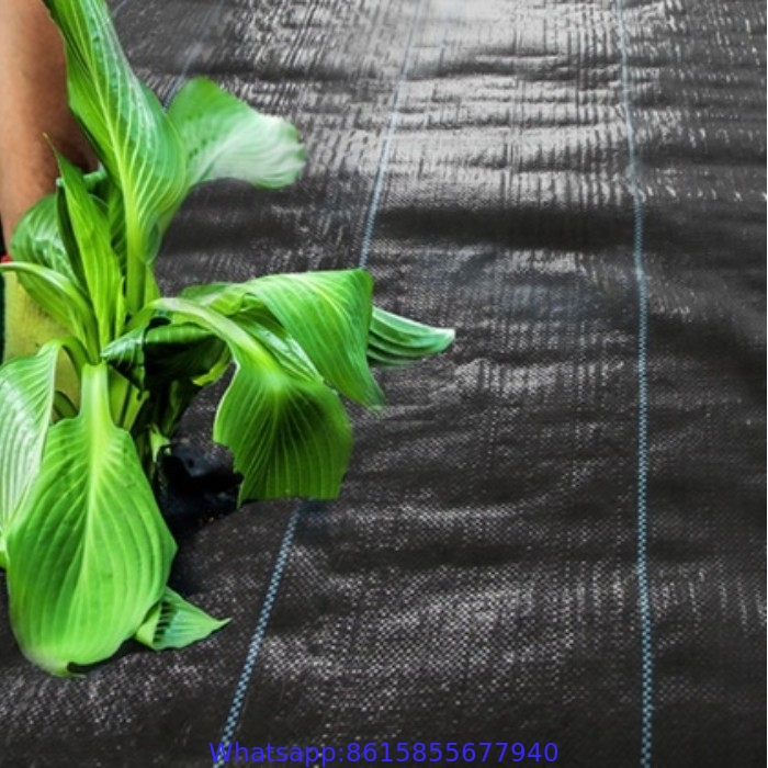 Agricultural garden black color Plastic Anti Weed Mat Plastic Mulch Film Ground Cover