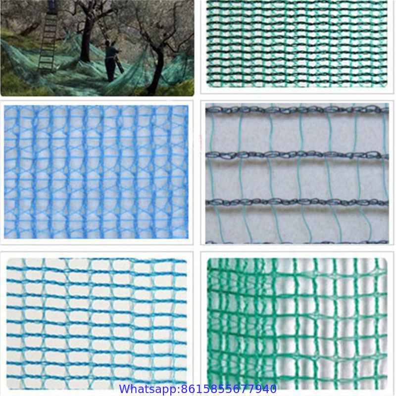 HDPE Agriculture Olive Net harvest net with high quality