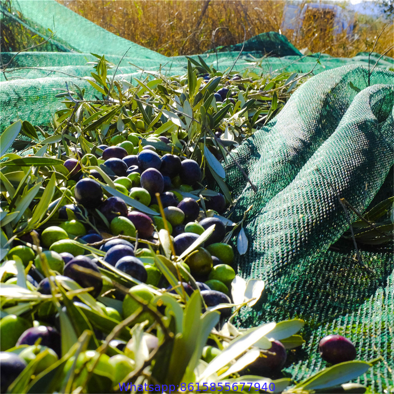 Agriculture design cheap price olive tree harvest net