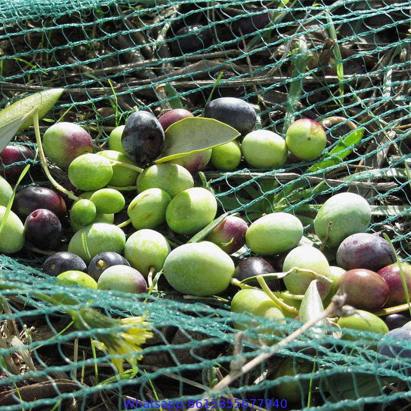 Olive Netting,Olive Falling Nets,Olive Collect Netting