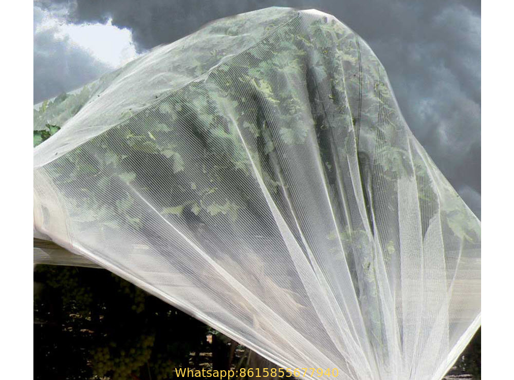 Anti Hail Net Protects Crops and Fruits From Hail