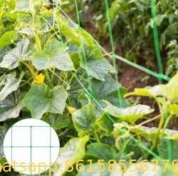 HDPE Orchard Plastic Support Trellis Net Vegetable Net Garden Tomato Climbing Net for Creeper Plants Crop
