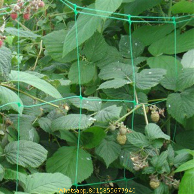 Netting Garden Durable Nylon Trellis Net Support Climbing Plant Vine Support