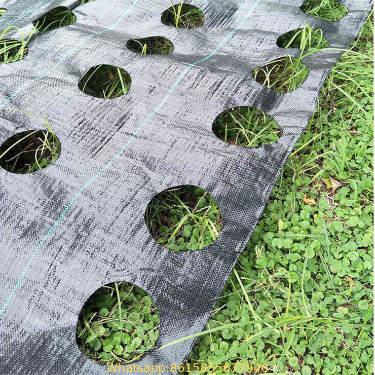 Premium Weed Barrier Landscape Fabric Ground Cover Heavy Duty Commercial Anti-Weed Gardening Mat 3ft x 33ft Green