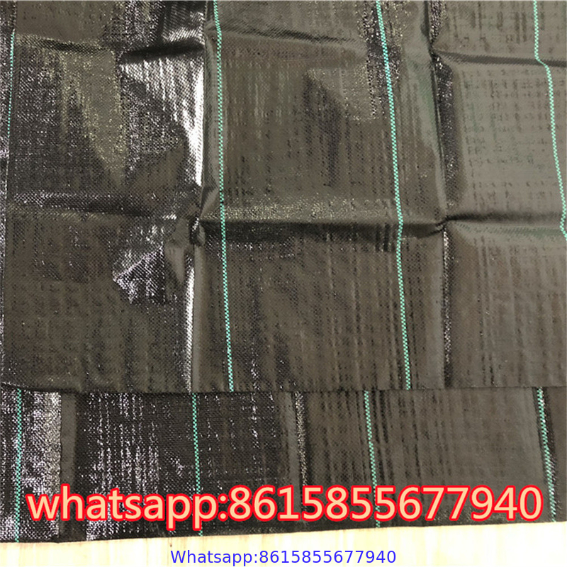 PP Weed Mat/Anti Weed Mat/Weed Barrier Fabric